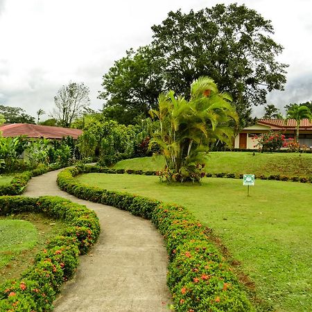 Termales Del Bosque & Hot Springs Hotel La Marina Buitenkant foto