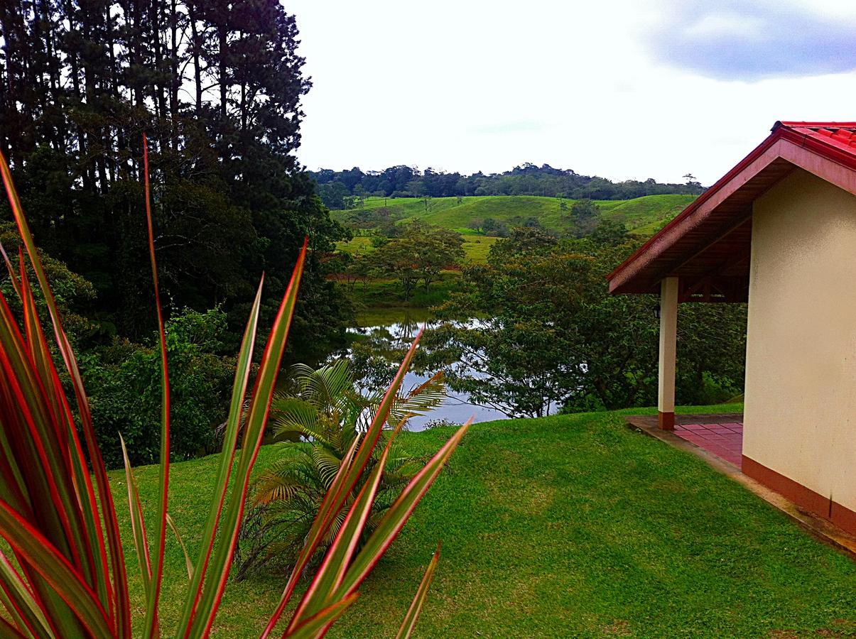 Termales Del Bosque & Hot Springs Hotel La Marina Buitenkant foto